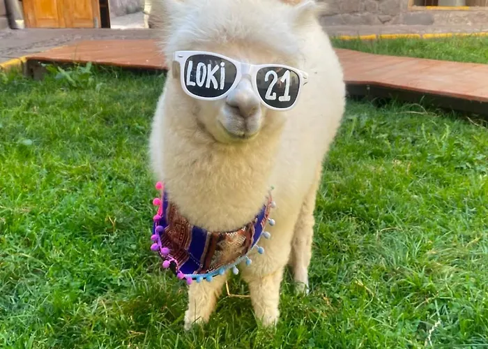 Loki Cusco Hostel